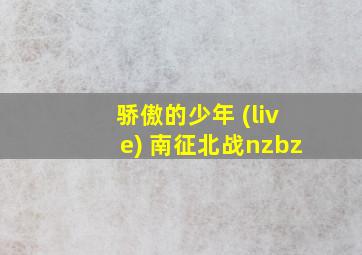 骄傲的少年 (live) 南征北战nzbz